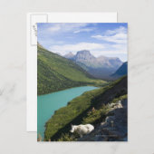 Nationaal Park Glacier, Montana Briefkaart (Voorkant / Achterkant)