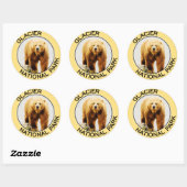 Nationaal park Glacier Ronde Sticker (Vel)