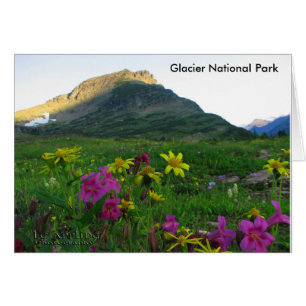 Nationaal park Gletsjer Wilde Bloemen - Montana US