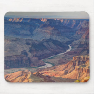 Nationaal park Grand Canyon, Ariz Muismat