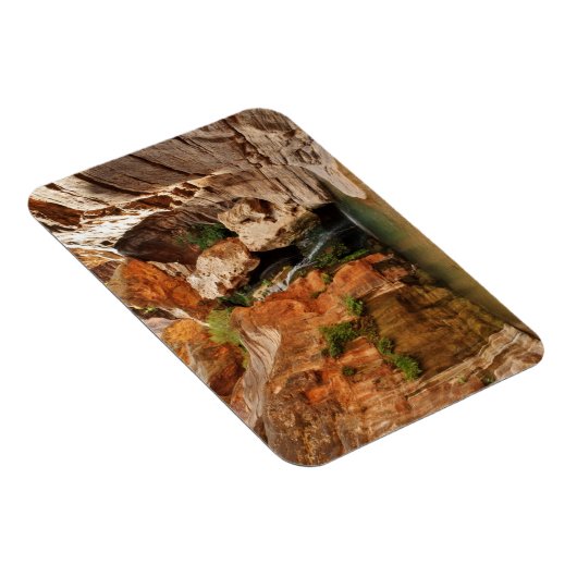 Nationaal park Grand Canyon, Arizona Magneet (Rechterzijde)