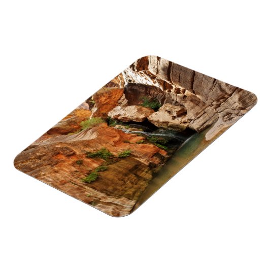 Nationaal park Grand Canyon, Arizona Magneet (Linkerzijde)