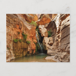 Nationaal park Grand Canyon Briefkaart