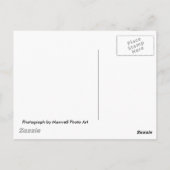Nationaal park Grand Canyon Briefkaart (Achterkant)