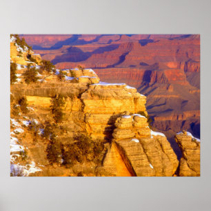 Nationaal park Grand Canyon in de winter Poster