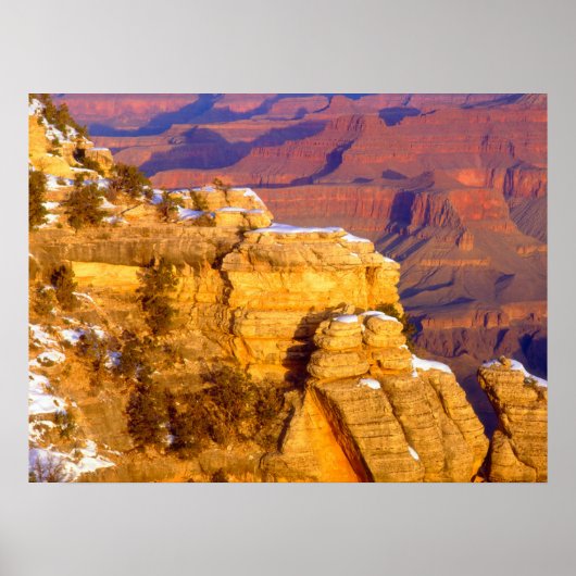 Nationaal park Grand Canyon in de winter Poster (Voorkant)
