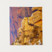 Nationaal park Grand Canyon in de winter Wandkleed (Voorkant)