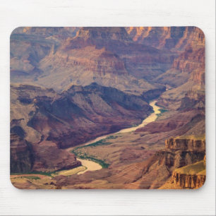 Nationaal park Grand Canyon Muismat