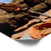 Nationaal park Grand Canyon Poster (Hoek)