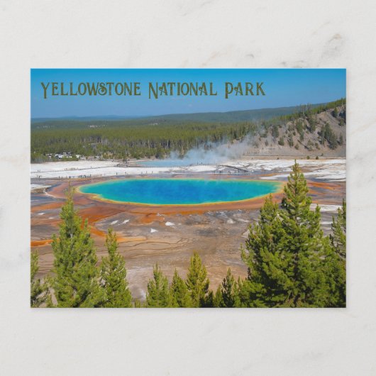 Nationaal park Grand Prismatic Spring Yellowstone Briefkaart (Voorkant)