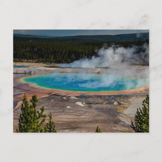 Nationaal park Grand Prismatic Spring Yellowstone Briefkaart (Voorkant)