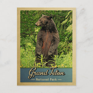 Nationaal park Grand Teton  Beer Briefkaart