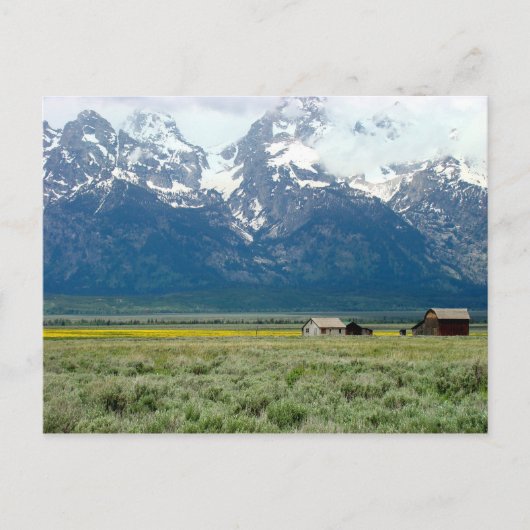 Nationaal park Grand Teton Briefkaart (Voorkant)