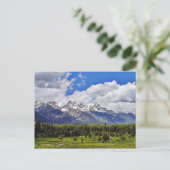 Nationaal park Grand Teton. Briefkaart (Staand voorkant)