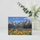 Nationaal park Grand Teton Briefkaart (Staand voorkant)