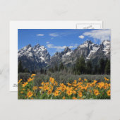 Nationaal park Grand Teton Briefkaart (Voorkant / Achterkant)