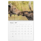 Nationaal park Grand Teton Kalender (Feb 2027)