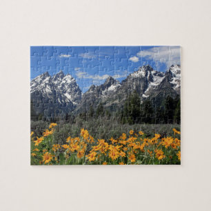 Nationaal park Grand Teton Legpuzzel
