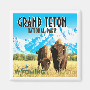 Nationaal park Grand Teton Magneet