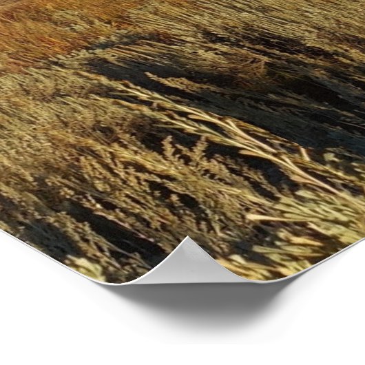 Nationaal park Grand Teton Poster (Hoek)