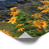 Nationaal park Grand Teton Poster (Hoek)