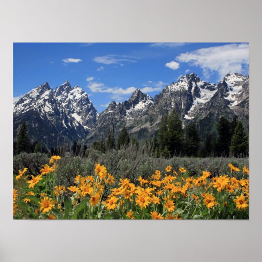 Nationaal park Grand Teton Poster (Voorkant)