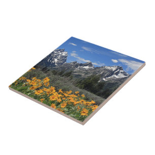 Nationaal park Grand Teton Tegeltje