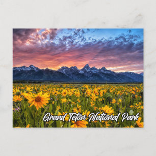 Nationaal park Grand Teton Wyoming Briefkaart