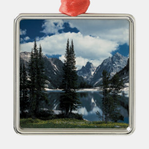 Nationaal park Grand Teton, Wyoming Metalen Ornament