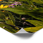 Nationaal park Grand Teton Wyoming Poster (Hoek)