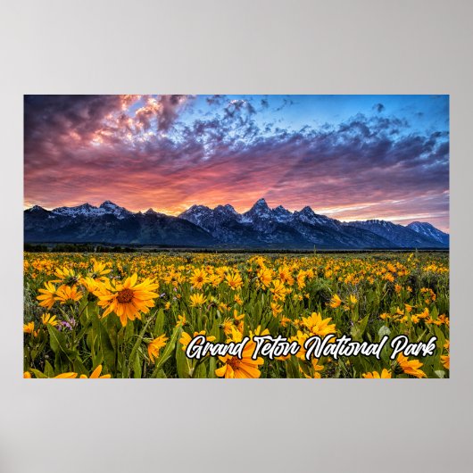 Nationaal park Grand Teton Wyoming Poster (Voorkant)
