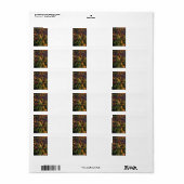 Nationaal park Great Smoky Mountain Etiket