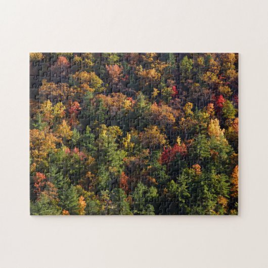 Nationaal park Great Smoky Mountain Legpuzzel (Horizontaal)