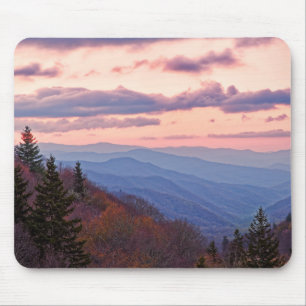 Nationaal park Great Smoky Mountain Muismat