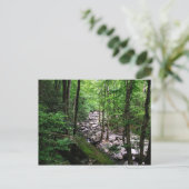Nationaal park Great Smoky Mountains Briefkaart (Staand voorkant)