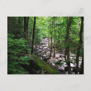 Nationaal park Great Smoky Mountains Briefkaart