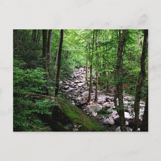Nationaal park Great Smoky Mountains Briefkaart (Voorkant)