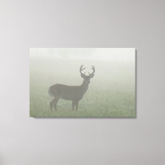 Nationaal Park Great Smoky Mountains, Tennesse Canvas Afdruk (Voorkant)