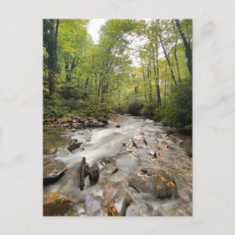 Nationaal park Great Smoky Mountains, Tennessee Briefkaart