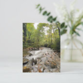 Nationaal park Great Smoky Mountains, Tennessee Briefkaart (Staand voorkant)