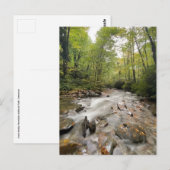 Nationaal park Great Smoky Mountains, Tennessee Briefkaart (Voorkant / Achterkant)