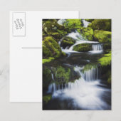 Nationaal park Great Smoky Mountains, Tennessee Briefkaart (Voorkant / Achterkant)