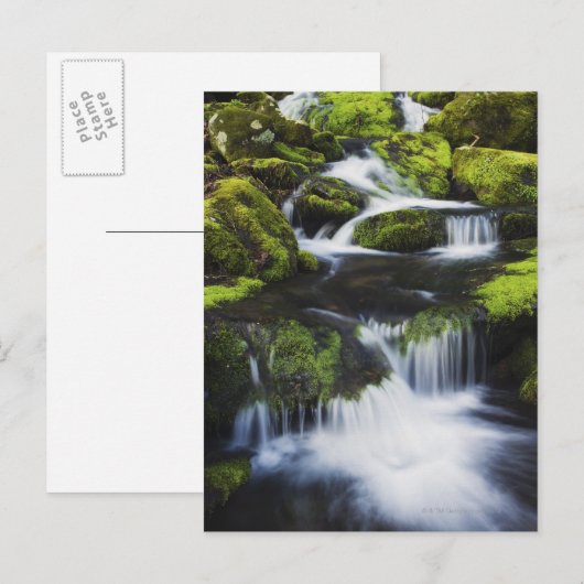 Nationaal park Great Smoky Mountains, Tennessee Briefkaart (Voorkant / Achterkant)