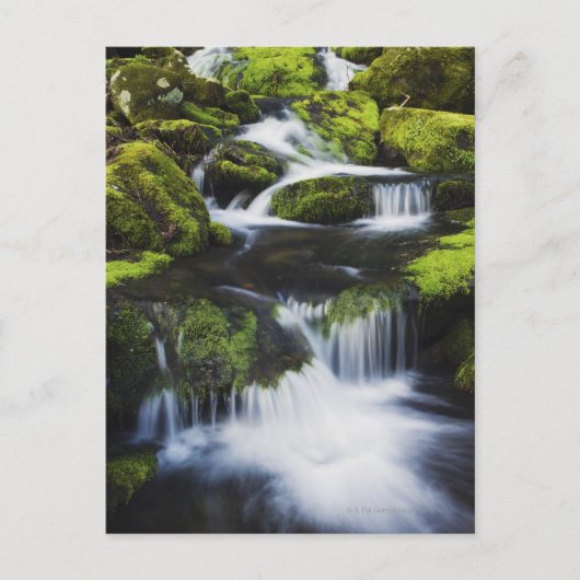 Nationaal park Great Smoky Mountains, Tennessee Briefkaart (Voorkant)