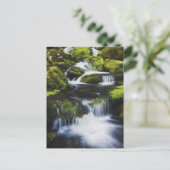 Nationaal park Great Smoky Mountains, Tennessee Briefkaart (Staand voorkant)