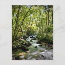 Nationaal park Great Smoky Mountains, Tennessee