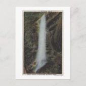 Nationaal park Great Smoky Mountains, TN Briefkaart (Voorkant)