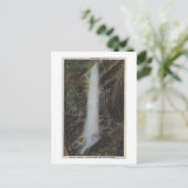 Nationaal park Great Smoky Mountains, TN Briefkaart (Staand voorkant)