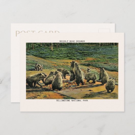 Nationaal park Grizzly Beren Grond Briefkaart (Voorkant / Achterkant)