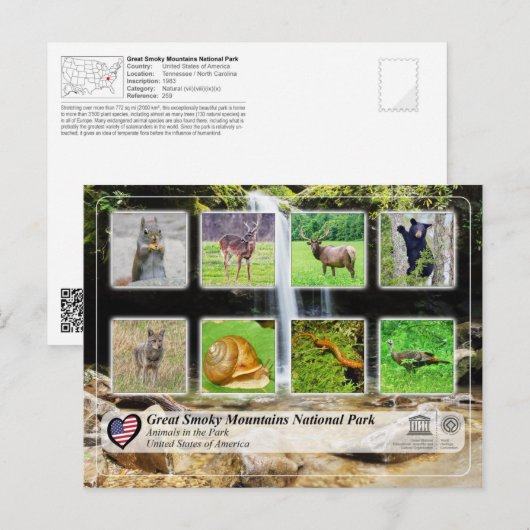 Nationaal Park Grote Smoky Mountains - Dieren Briefkaart (Voorkant / Achterkant)